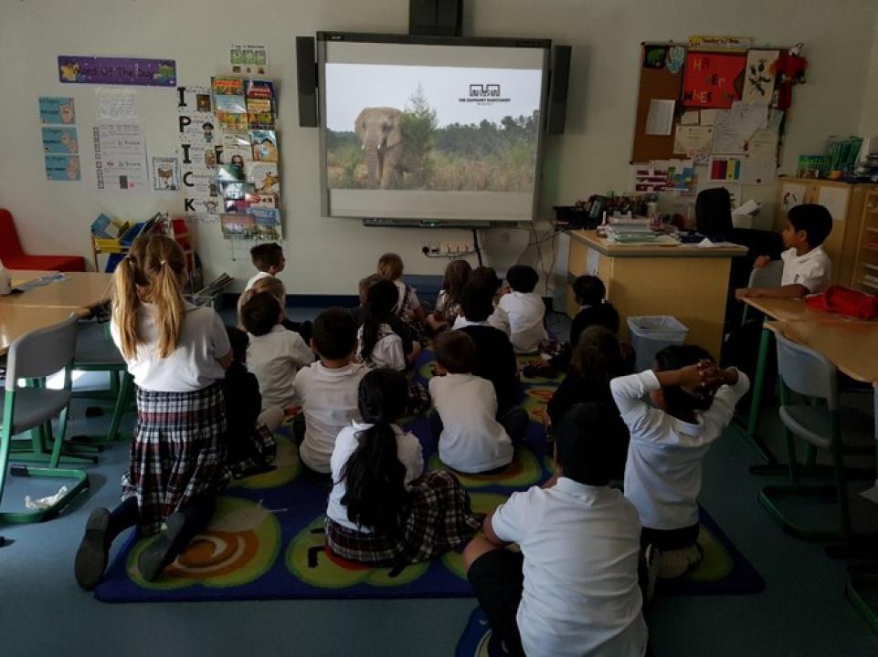 Classroom of Students Participating in Distance Learning with The Elephant Sanctuary in Tennessee